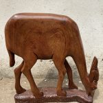 Antelope